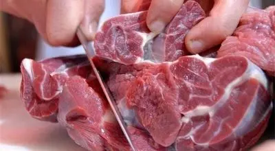 قیمت گوشت قرمز کاهش می‌یابد/ واردات گسترده دام زنده و گوشت در تمام بنادر کشور
