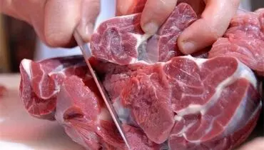 قیمت گوشت قرمز کاهش می‌یابد/ واردات گسترده دام زنده و گوشت در تمام بنادر کشور
