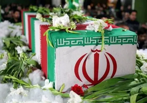 زمین گیر شدن اراذل فراری توسط پلیس امنیت عمومی فراجا