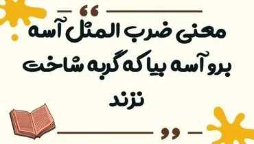 "آهسته بیا آهسته برو گربه شاخت نزند" چه معنایی دارد؟