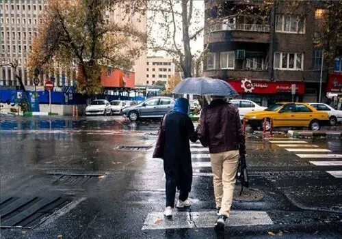 اینجا مزرعه عروسک هاست!