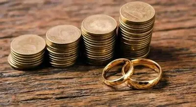 ماجرای پلکانی بودن مهریه / یک نماینده پیشنهاد ۱۴ سکه را مطرح کرد!+ فیلم