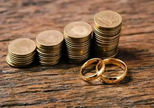 ماجرای پلکانی بودن مهریه / یک نماینده پیشنهاد ۱۴ سکه را مطرح کرد!+ فیلم