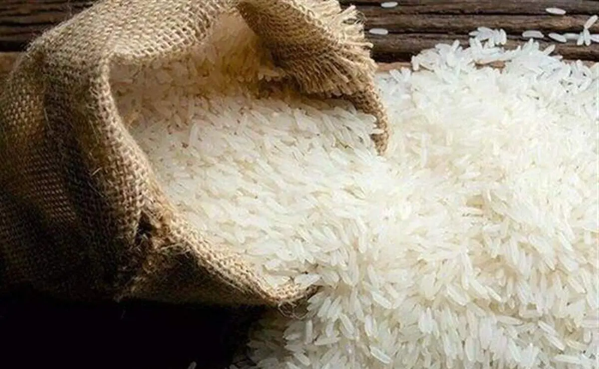 چهار پرده از جنجال جدید در بازار برنج