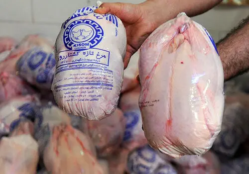 قیمت روز مرغ در بازار؛ هر کیلو چقدر شد؟