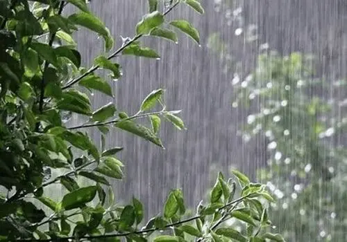 سیل در ماکو جاری شد؛ امدادگران به محل اعزام شدند 