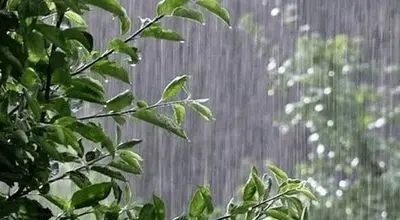 بارش‌های سیل‌آسا در راه است؛ هشدار نارنجی برای پایتخت نشینان و ۵ استان دیگر