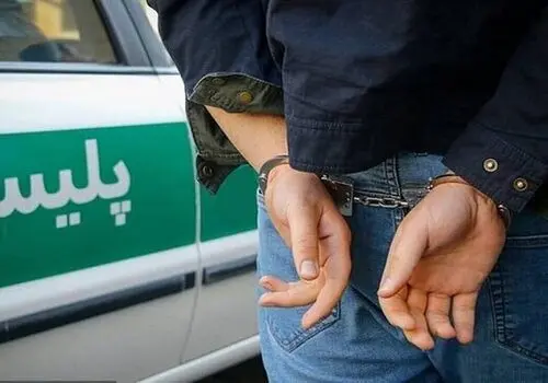 انتقام میمون ها از پلیس پس از مرگ هم‌نوع‌شان! + فیلم