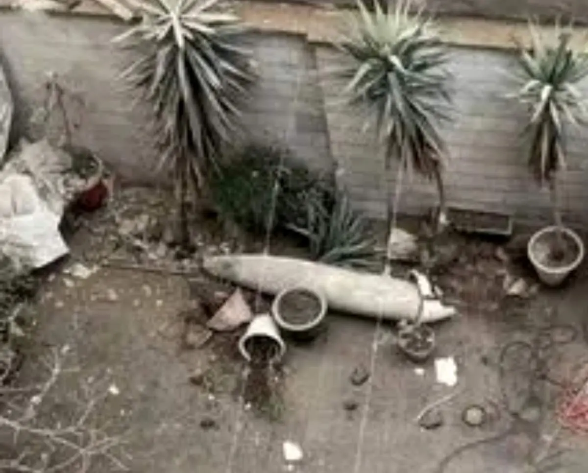 تصویر باورنکردنی از موشک فرود آمده در تهران!