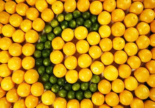 طرز تهیه موهیتو توت سیاه بهاری