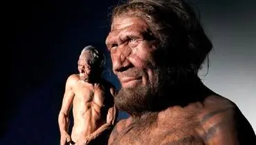 بازسازی چهره اجداد اولیه انسان برای نخستین‌بار منتشر شد + عکس