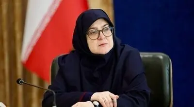 مهاجرانی علت دورکاری کارمندان دولت را اعلام کرد