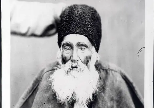 گذری به تاریخ؛ تصویر دروازه دولت در زمان قاجار