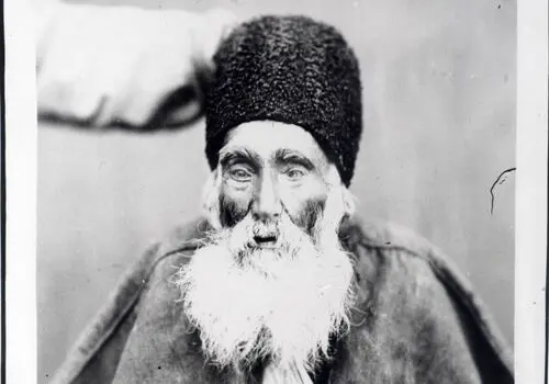گذری به تاریخ؛ تصویر دروازه دولت در زمان قاجار