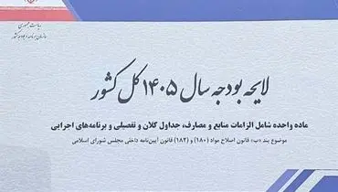 دلایل رد بودجه 1405 چه بود؟