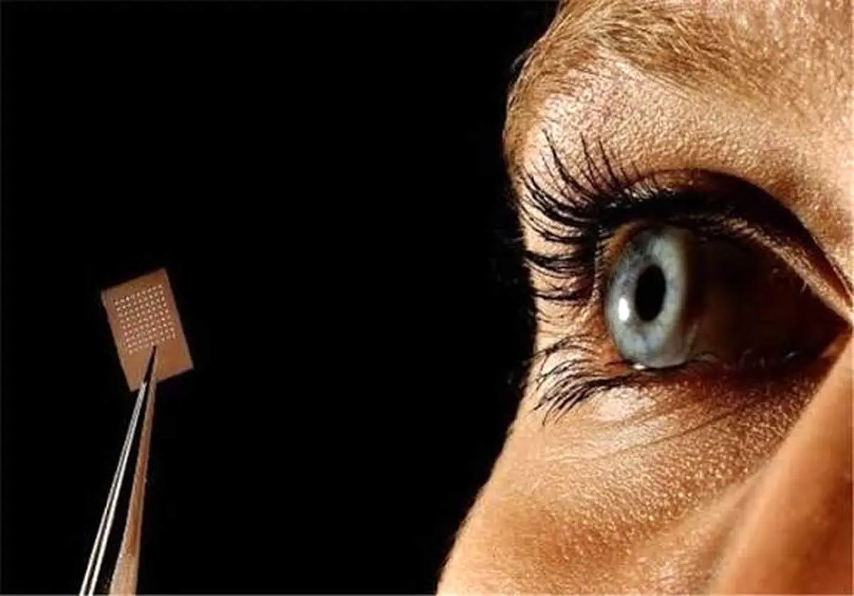 خطای دیدی که مرز میان درون‌گرایی و برون‌گرایی را آشکار می‌سازد+تصویر