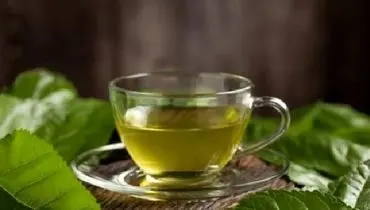 طرز تهیه دمنوش برگ توت سفید و خواص آن