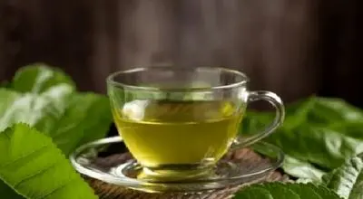 طرز تهیه دمنوش برگ توت سفید و خواص آن
