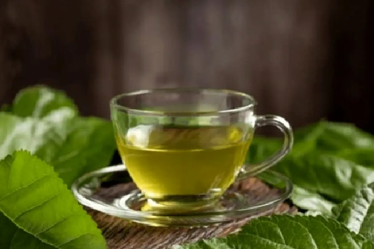 طرز تهیه دمنوش برگ توت سفید و خواص آن