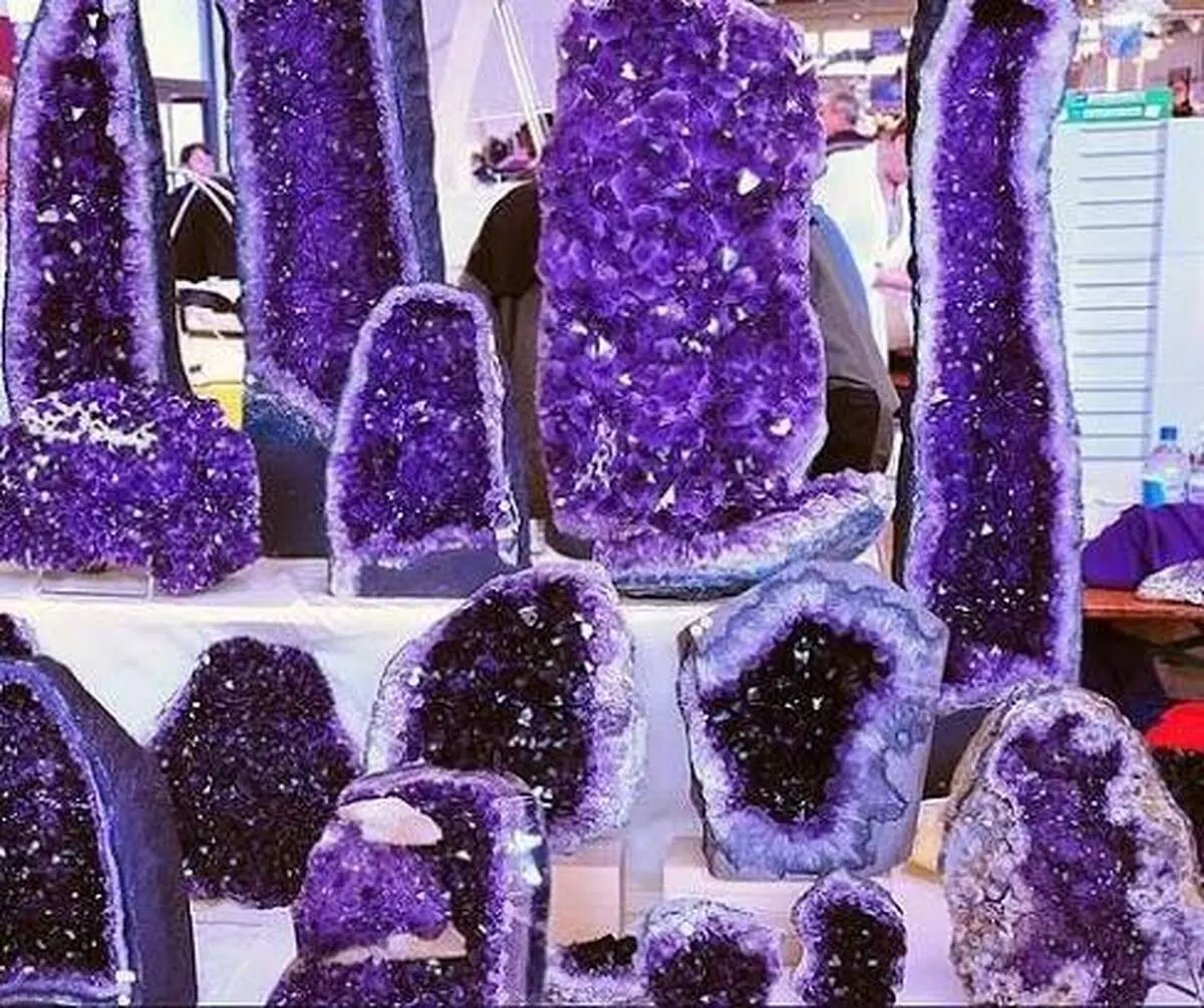 گنجینه بنفش و نایاب سیبری+ فیلم 