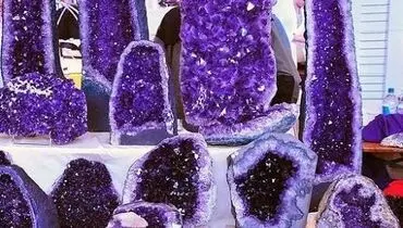 گنجینه بنفش و نایاب سیبری+ فیلم 