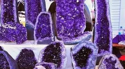 گنجینه بنفش و نایاب سیبری+ فیلم 