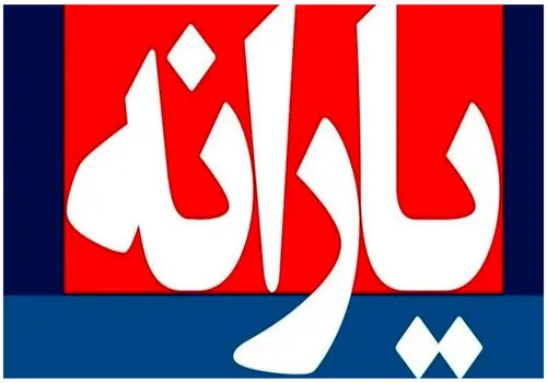 سخنگوی دولت: جلسه مهم یارانه‌ها در وزارت تعاون در راه است + ویدیو