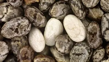 دانه‌ای که برای کنترل فشار خون مفید است!