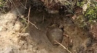 کوزه‌های طلایی ۲۰۲۵؛ چهار کشف باورنکردنی از دل خاک+تصاویر