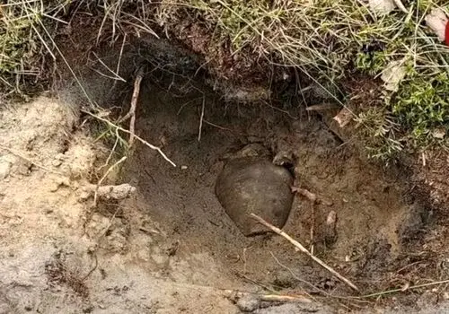 پرواز مشکوک هواپیمای آمریکایی بر فراز منطقه رزمایش سپاه | تصاویر