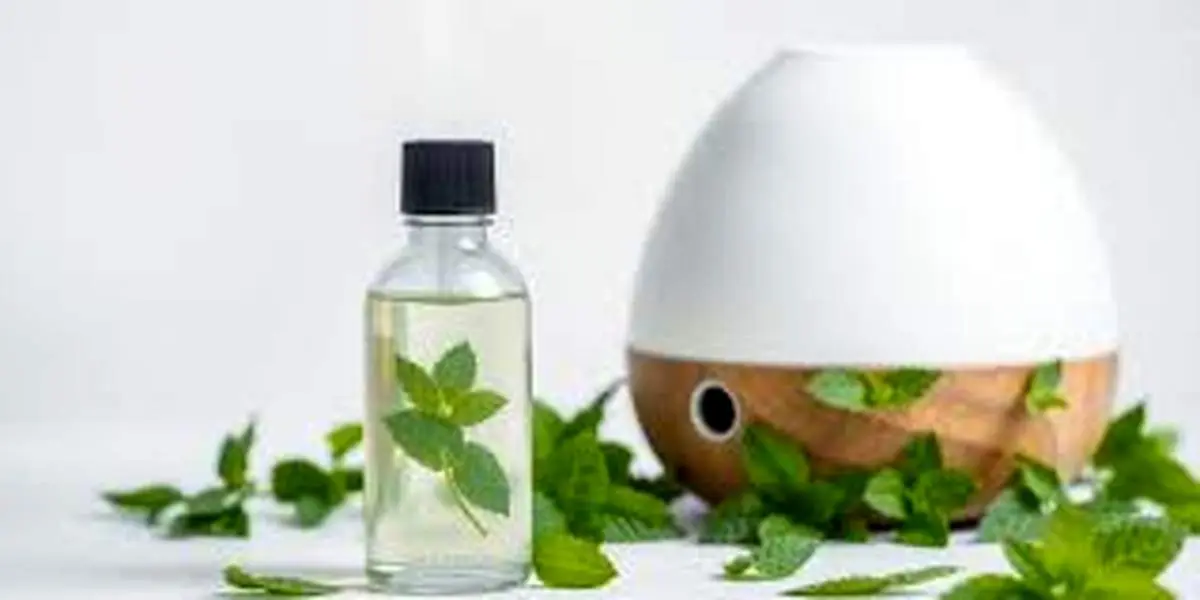 ۵ افزودنی مفید و سالم که در دستگاه بخور باید بریزیم!
