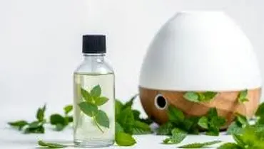 ۵ افزودنی مفید و سالم که در دستگاه بخور باید بریزیم!
