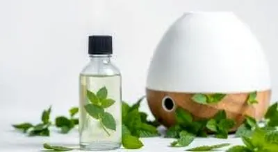 ۵ افزودنی مفید و سالم که در دستگاه بخور باید بریزیم!
