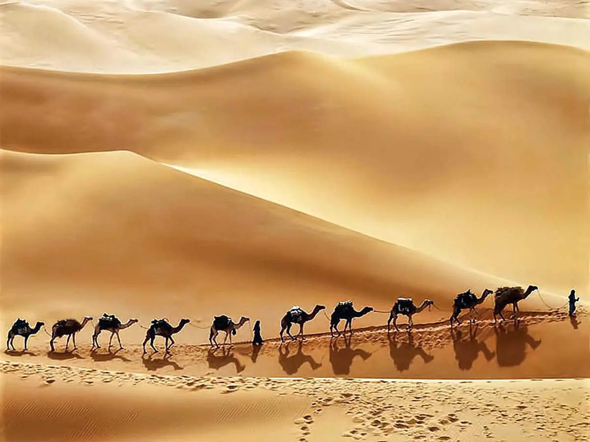 کسب درآمد میلیاردی عربستان سعودی از کویرهای بی آب و علف کلید خورد+ تصاویر