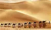 کسب درآمد میلیاردی عربستان سعودی از کویرهای بی آب و علف کلید خورد+ تصاویر 