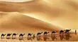 کسب درآمد میلیاردی عربستان سعودی از کویرهای بی آب و علف کلید خورد+ تصاویر 