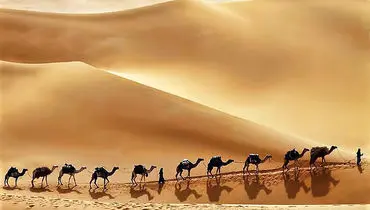 کسب درآمد میلیاردی عربستان سعودی از کویرهای بی آب و علف کلید خورد+ تصاویر 