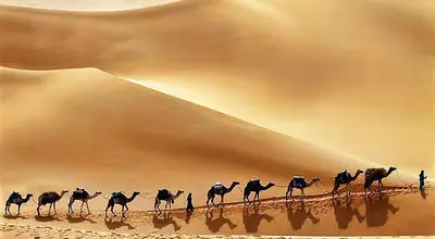 کسب درآمد میلیاردی عربستان سعودی از کویرهای بی آب و علف کلید خورد+ تصاویر 