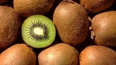 ایران پنجمین تولیدکننده کیوی در جهان