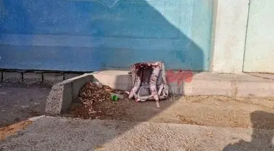 اولین تصاویر منتشر شده از  ۱۶۸ تابوت دختران پرپر شده میناب! + فیلم
