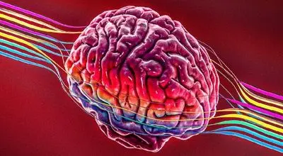 ۷ عادت ساده و موثر برای پیشگیری از آلزایمر