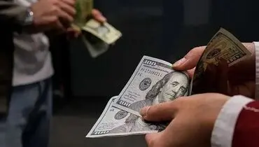 قیمت دلار بازار آزاد امروز یکشنبه ۳ خرداد ۱۴۰۵ +جدول