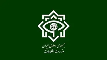 وزارت اطلاعات: ۱۴ عامل دشمن در ۴ استان دستگیر شدند