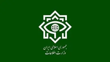 وزارت اطلاعات: ۱۴ عامل دشمن در ۴ استان دستگیر شدند