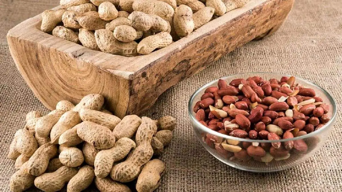 بهترین ترفند از بین بردن بوی کهنگی بادام زمینی