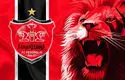 پنجمین خرید پرسپولیس قطعی شد؛ پوشیدن پیراهن سرخ بعد از سال‌ها انتظار