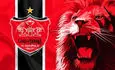 پنجمین خرید پرسپولیس قطعی شد؛ پوشیدن پیراهن سرخ بعد از سال‌ها انتظار