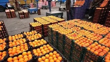 میوه تنظیم بازار شب عید ذخیره شد
