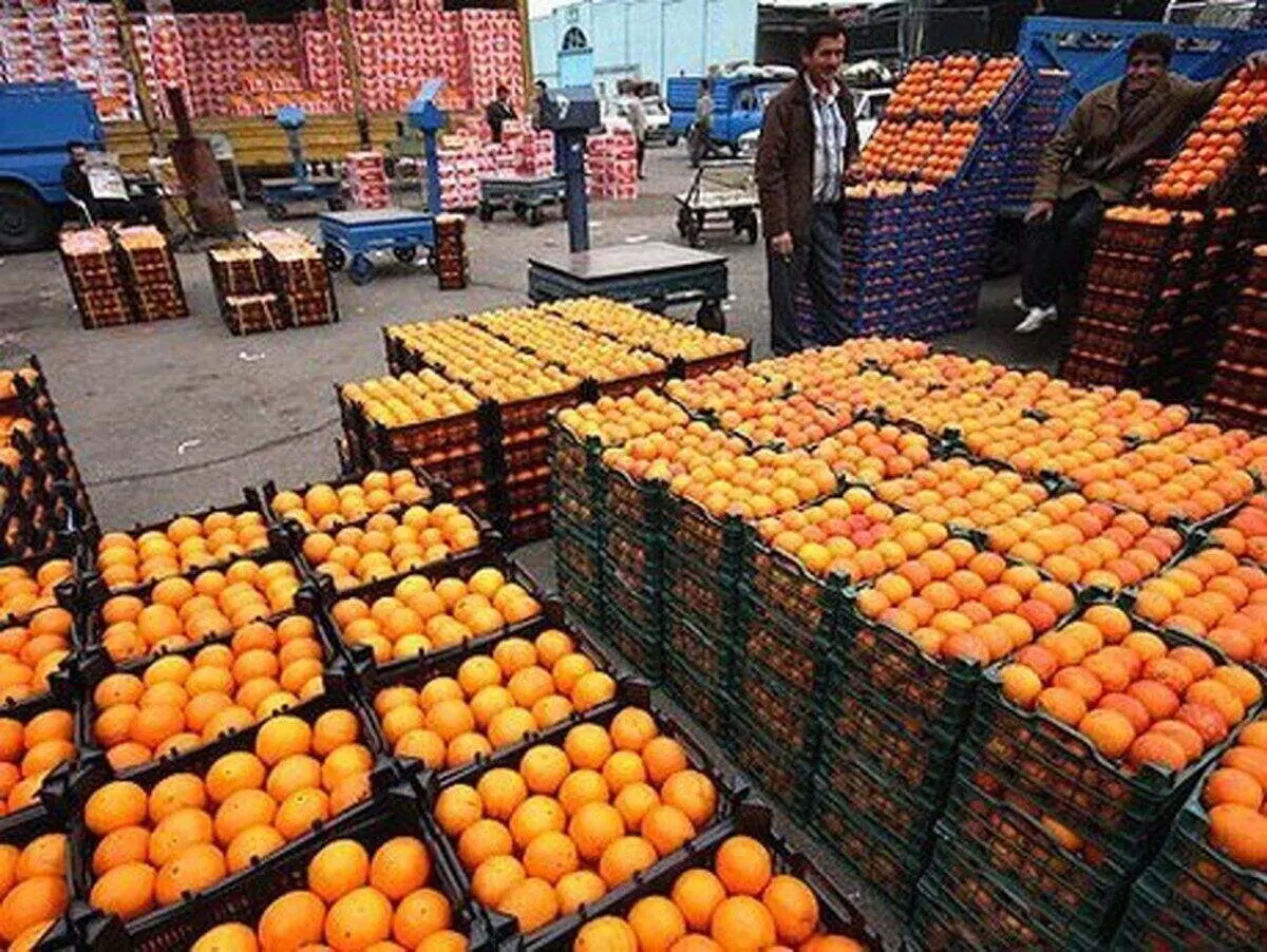 میوه تنظیم بازار شب عید ذخیره شد
