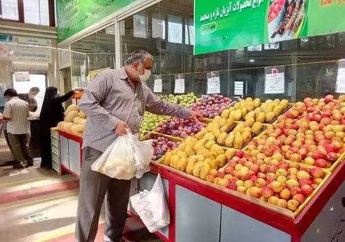 سرما به ۳ استان جنوبی می رسد